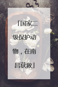国家二级保护动物，在南昌获救