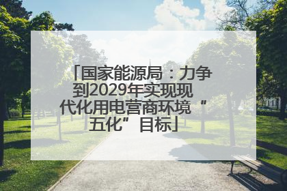 国家能源局：力争到2029年实现现代化用电营商环境“五化”目标
