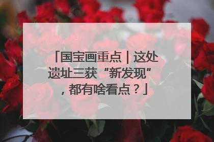 国宝画重点｜这处遗址三获“新发现”，都有啥看点？