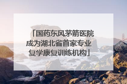 国药东风茅箭医院成为湖北省首家专业复学康复训练机构
