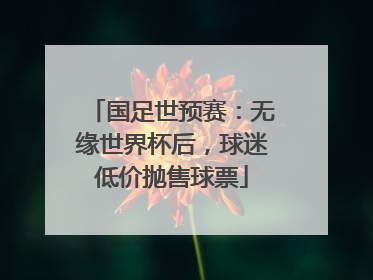 国足世预赛：无缘世界杯后，球迷低价抛售球票