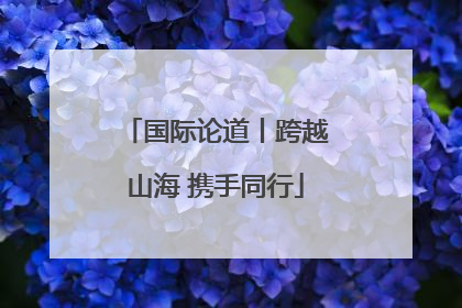 国际论道丨跨越山海 携手同行