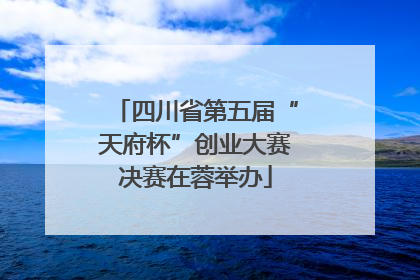 四川省第五届“天府杯”创业大赛决赛在蓉举办