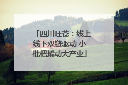 四川旺苍：线上线下双链驱动 小枇杷撬动大产业