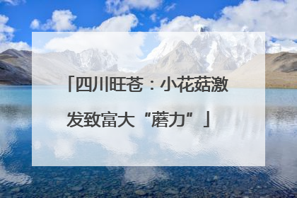 四川旺苍：小花菇激发致富大“蘑力”