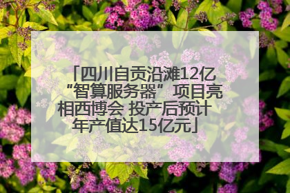 四川自贡沿滩12亿“智算服务器”项目亮相西博会 投产后预计年产值达15亿元