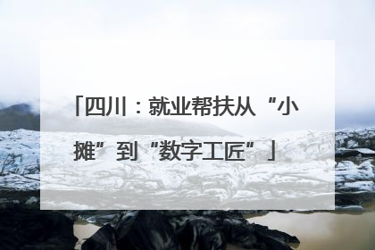 四川：就业帮扶从“小摊”到“数字工匠”