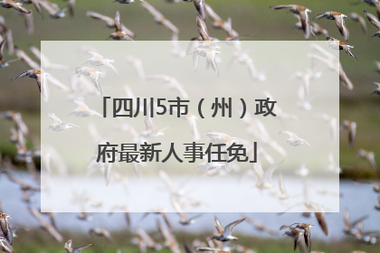 四川5市（州）政府最新人事任免