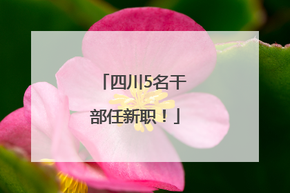 四川5名干部任新职！