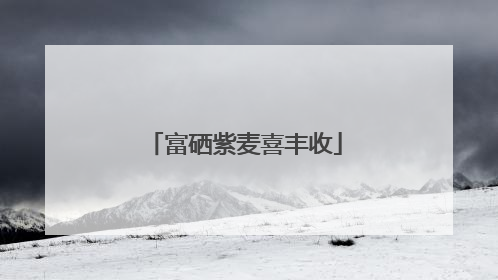 富硒紫麦喜丰收