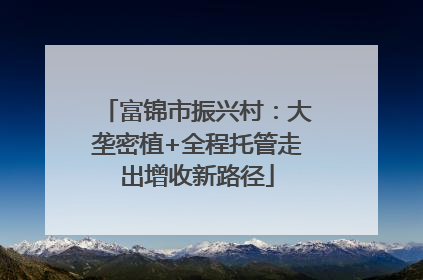 富锦市振兴村：大垄密植+全程托管走出增收新路径