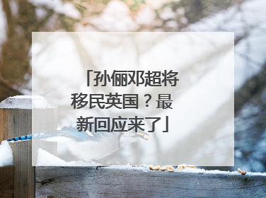 孙俪邓超将移民英国？最新回应来了