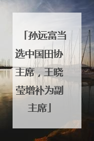 孙远富当选中国田协主席，王晓莹增补为副主席