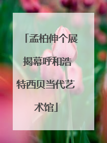 孟柏伸个展 揭幕呼和浩特西贝当代艺术馆