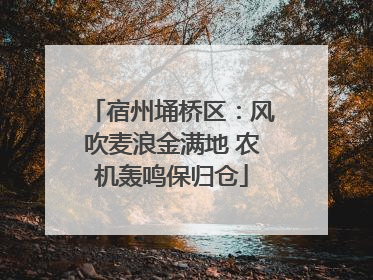 宿州埇桥区：风吹麦浪金满地 农机轰鸣保归仓