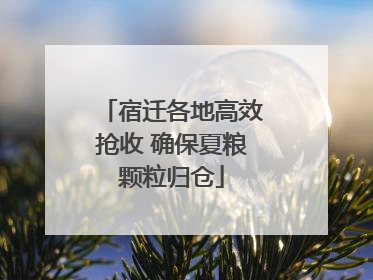 宿迁各地高效抢收 确保夏粮颗粒归仓