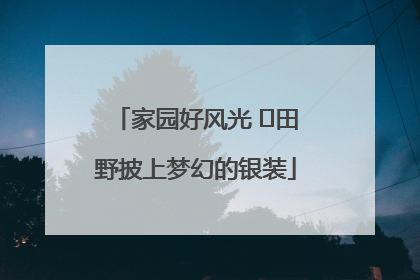 家园好风光 ⎮田野披上梦幻的银装