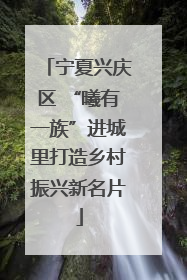 宁夏兴庆区 “曦有一族”进城里打造乡村振兴新名片