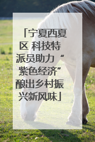宁夏西夏区 科技特派员助力“紫色经济”酿出乡村振兴新风味