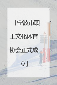 宁波市职工文化体育协会正式成立