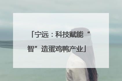宁远：科技赋能“智”造蛋鸡鸭产业