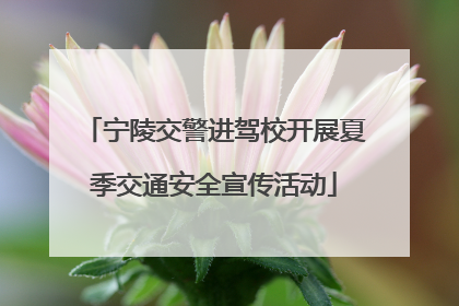 宁陵交警进驾校开展夏季交通安全宣传活动