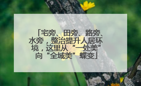宅旁、田旁、路旁、水旁，整治提升人居环境，这里从“一处美”向“全域美”蝶变