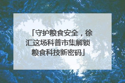 守护粮食安全，徐汇这场科普市集解锁粮食科技新密码