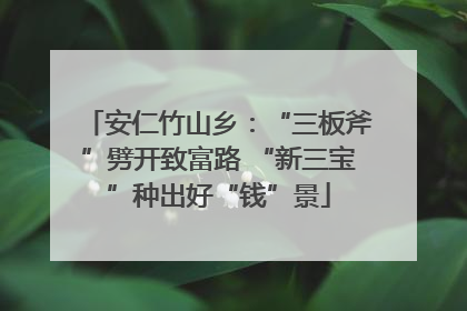 安仁竹山乡：“三板斧”劈开致富路 “新三宝”种出好“钱”景