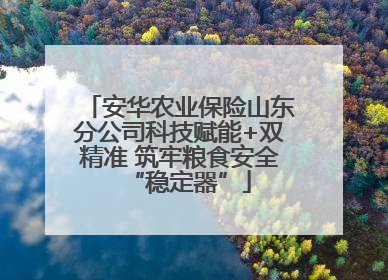 安华农业保险山东分公司科技赋能+双精准 筑牢粮食安全“稳定器”