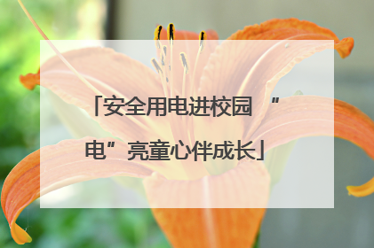 安全用电进校园 “电”亮童心伴成长
