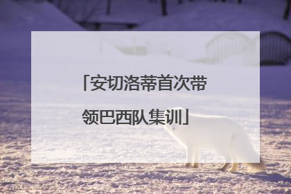 安切洛蒂首次带领巴西队集训