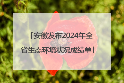 安徽发布2024年全省生态环境状况成绩单