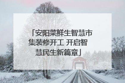 安阳菜鲜生智慧市集装修开工 开启智慧民生新篇章