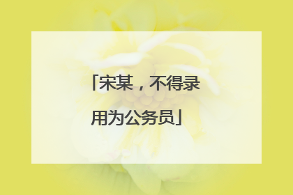 宋某，不得录用为公务员