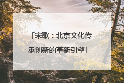 宋歌：北京文化传承创新的革新引擎