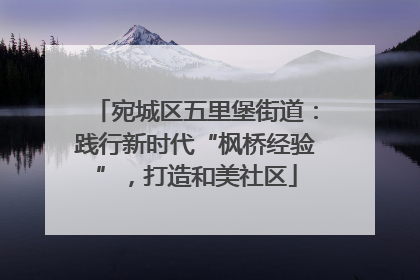 宛城区五里堡街道：践行新时代“枫桥经验”，打造和美社区