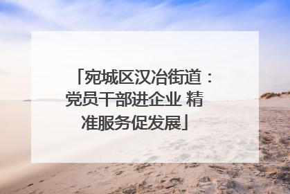 宛城区汉冶街道：党员干部进企业 精准服务促发展