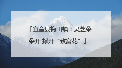 宜章县梅田镇：灵芝朵朵开 撑开“致富花”