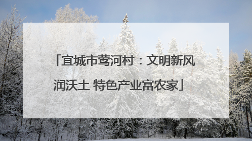 宜城市莺河村：文明新风润沃土 特色产业富农家