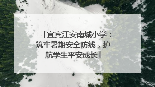 宜宾江安南城小学：筑牢暑期安全防线，护航学生平安成长