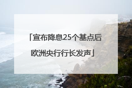 宣布降息25个基点后 欧洲央行行长发声