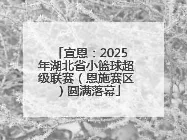 宣恩：2025年湖北省小篮球超级联赛（恩施赛区）圆满落幕