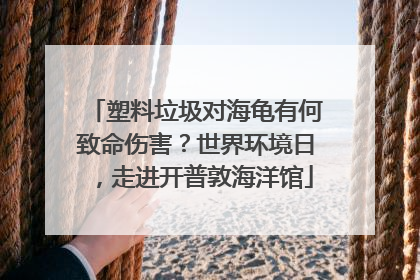 塑料垃圾对海龟有何致命伤害？世界环境日，走进开普敦海洋馆
