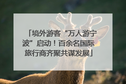 境外游客“万人游宁波”启动！百余名国际旅行商齐聚共谋发展
