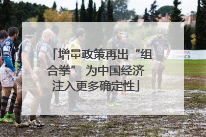 增量政策再出“组合拳” 为中国经济注入更多确定性