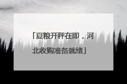 夏粮开秤在即，河北收购准备就绪