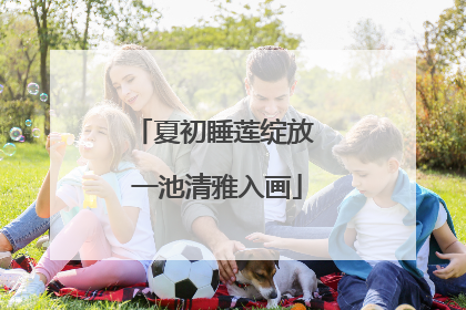 夏初睡莲绽放 一池清雅入画