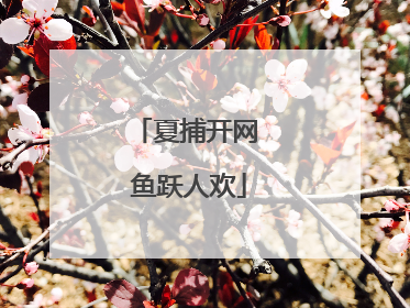 夏捕开网 鱼跃人欢