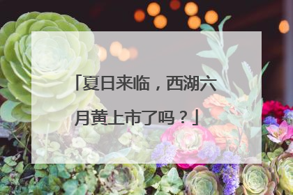 夏日来临，西湖六月黄上市了吗？